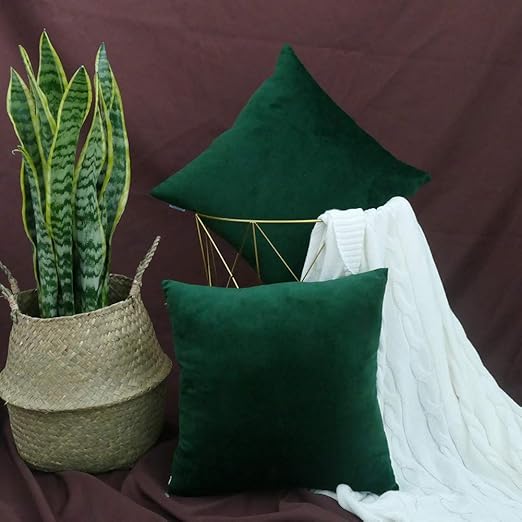 Amazon Com Sonca Pack Of 2 Decorative Velvet Throw Pillow Modern