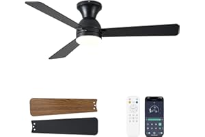 Dolavast Ceiling Fans with Lights, 48 inch Low Profile Ceiling Fan with Light and Remote Control, Flush Mount, Reversible, 3CCT, Dimmable LED, Noiseless, Black Ceiling Fan for Bedroom, Dining Room