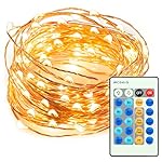 33ft 100 LED String Lights Dimmable with Remote Control, TaoTronics Waterproof Decorative Lights for Bedroom, Patio, Garden, Gate, Yard, Parties, Wedding ( Copper Wire Lights, Warm White )