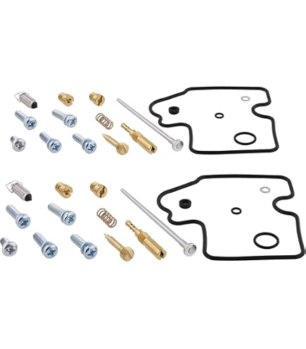 Amazon.com: All Balls Choke Plunger Kit (46-1031) Replacement For