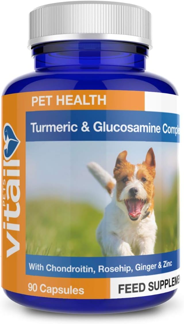 lady from lady and the tramp breed