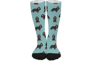 Unisex Novelty Crew Socks,Cavalier King Charles Spaniel Black And Tan Dog Turquoise Mid Calf Dress Socks Sports Socks Knee Hi