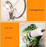 PewinGo 4 Pack 50W UVA UVB Heat Lamp Bulbs E27 Reptile Amphibian view 5
