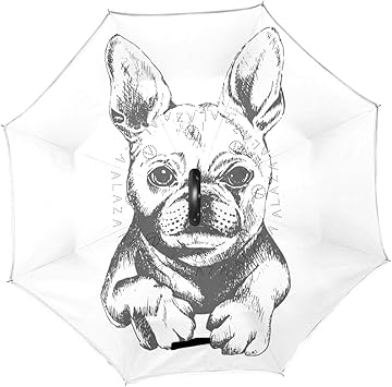 the upside dog painting