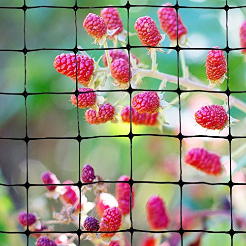 BirdX Poly Bird Netting 14Ft. X 100Ft. Model Number NETSTD10014