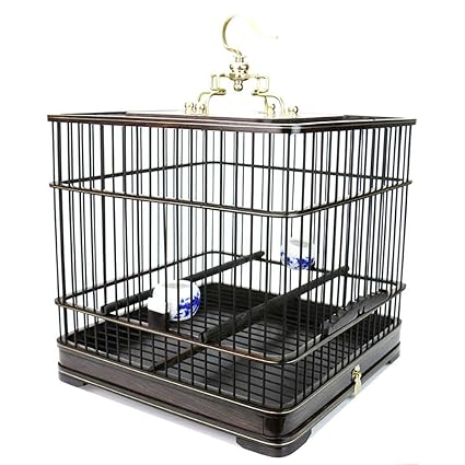 Cage à Oiseaux En Bois Alouette En Bois ébène Oiseau Jaune