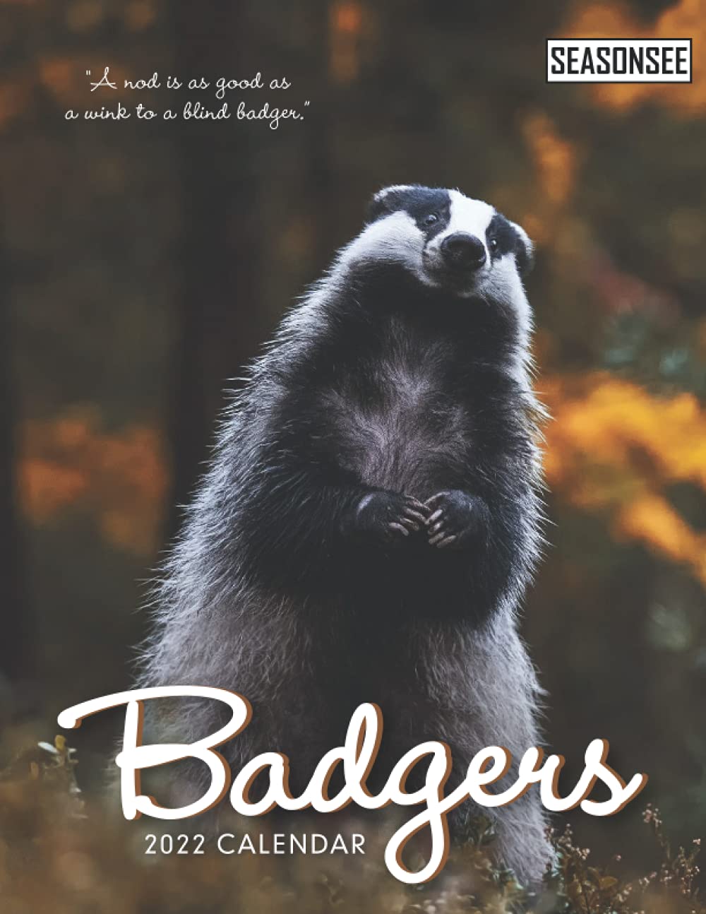 Badgers 2022 Schedule Badger Calendar 2022: Gifts For Friends And Family With 18-Month Monthly  Calendar In 8.5X11 Inch : Publishing, Seasonsee: Amazon.co.uk: Books