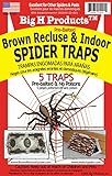 B. RECLUSE SPIDER TRAPS by BIG H PRODUCTS MfrPartNo ACEBR15001