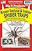 B. RECLUSE SPIDER TRAPS by BIG H PRODUCTS MfrPartNo ACEBR15001