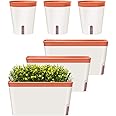 GardenBasix Self Watering Planter Rectangle Window Box Set of 6 for Indoor Plants Home Garden Modern Decorative Flower Pot for All House Herbs Succulents (6, Clay)