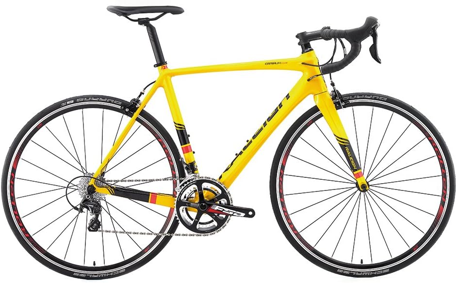 raleigh criterium sport