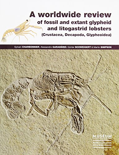 A  worldwide review of fossil and extant glypheid and litogastrid lobsters