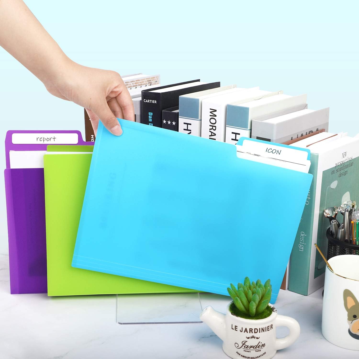 EOOUT 1/3-Cut Tabs, 30pcs Plastic Colored File Folder, Letter Size File Jacket, 6 Assorted Colors with Erasable Category Labels : Office Products