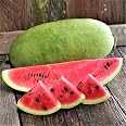 Charleston Grey Watermelon Seeds – Heirloom, 100 Seeds, Non-GMO, Open-Pollinated By Country Creek - View #3