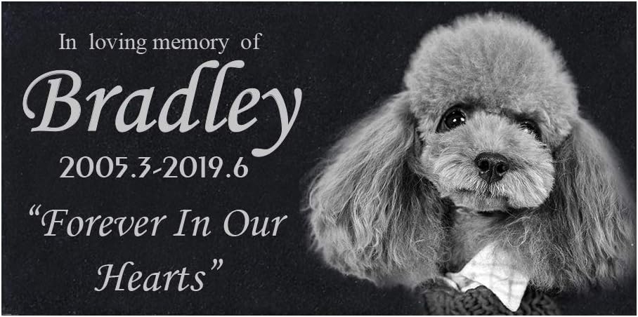 engraved pet memorial garden stone