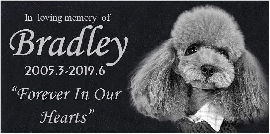 engraved pet memorial stones