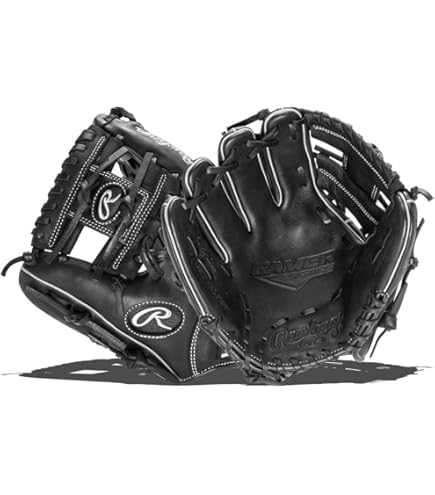 Amazon.com : Rawlings Gamer Series Baseball Glove – Premium