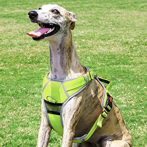 ThinkPet No Pull Harness Breathable Sport Harness Easy for Walking