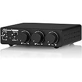 Douk Audio NS-13G MAX HiFi Mini 2-Channel Stereo Amplifier �C 300W��2 Class D Power Amp with Phono Input