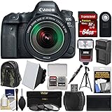 Canon EOS 6D Mark II Wi-Fi Digital SLR Camera &amp; EF 24-105mm IS STM Lens with 64GB Card + Backpack + Flash + Battery &amp; Charger + Tripod + Filters Kit