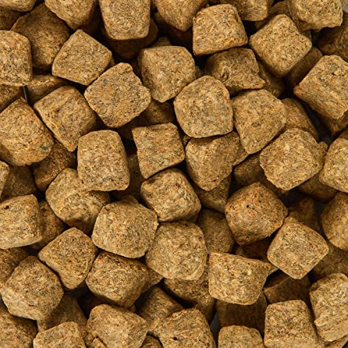 AQUEON STICK’EMS FREEZE-DRIED COLOR BOOSTING PET FISH TREAT , 0.42 OZ
