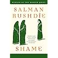 Shame: A Novel