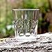 8 oz Premium Drinking Glasses - Set of 4 - Unbreakable Tritan Plastic - BPA Free - 100% Made in Japan (Clear)