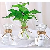 Three Hydroponic Hyacinth Glass Vases,Home Decoration vase,DIY Interest Plant Cultivation Flower Bottles(Clear)
