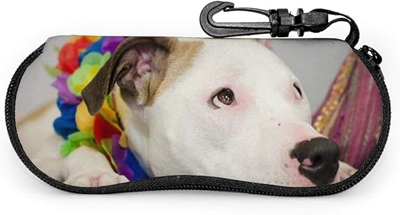 Jospictjatioa 画像をダウンロード 犬 擦り傷 犬 擦り傷 顎