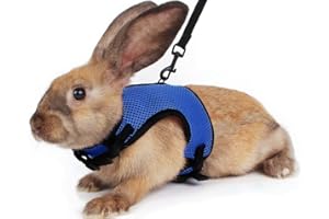 Gonalulu Bunny Rabbit Harness Leash Set, Adjustable Buckle Breathable Mesh Vest Escape Proof for Small Pets Walking Outdoor (Blue, Chest:11-13.7 inch)