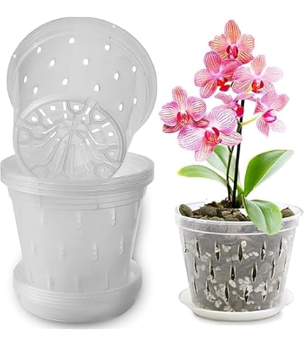 Lot De 8 Pots à Orchidées Transparents - 4 Tailles (11 à 19 Cm) Avec Trous De Drainage - Plastique Pour Plantes D'intérieur Et Succulentes