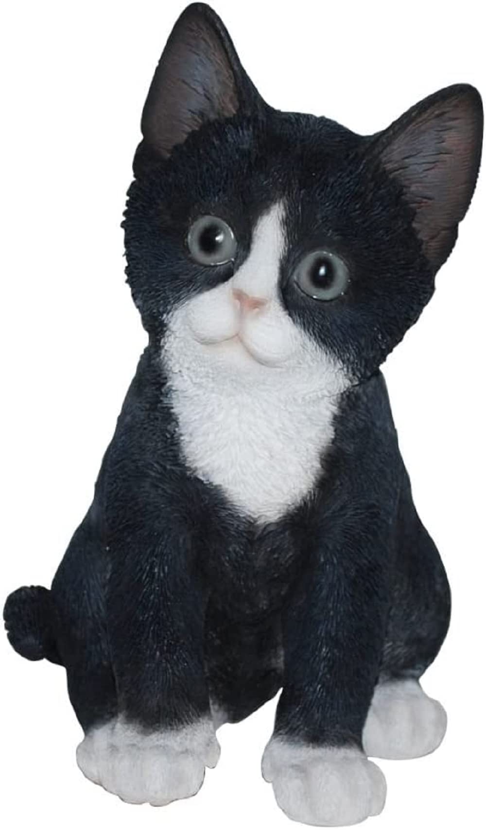 Pet Pals Kitten Black and White by Vivid Arts