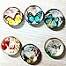Koolemon 14pcs Crystal Glass Refrigerator Magnets Fridge Magnets Funny Magnets for Refrigerator Office Cabinets Whiteboards,Tree+Butterfly