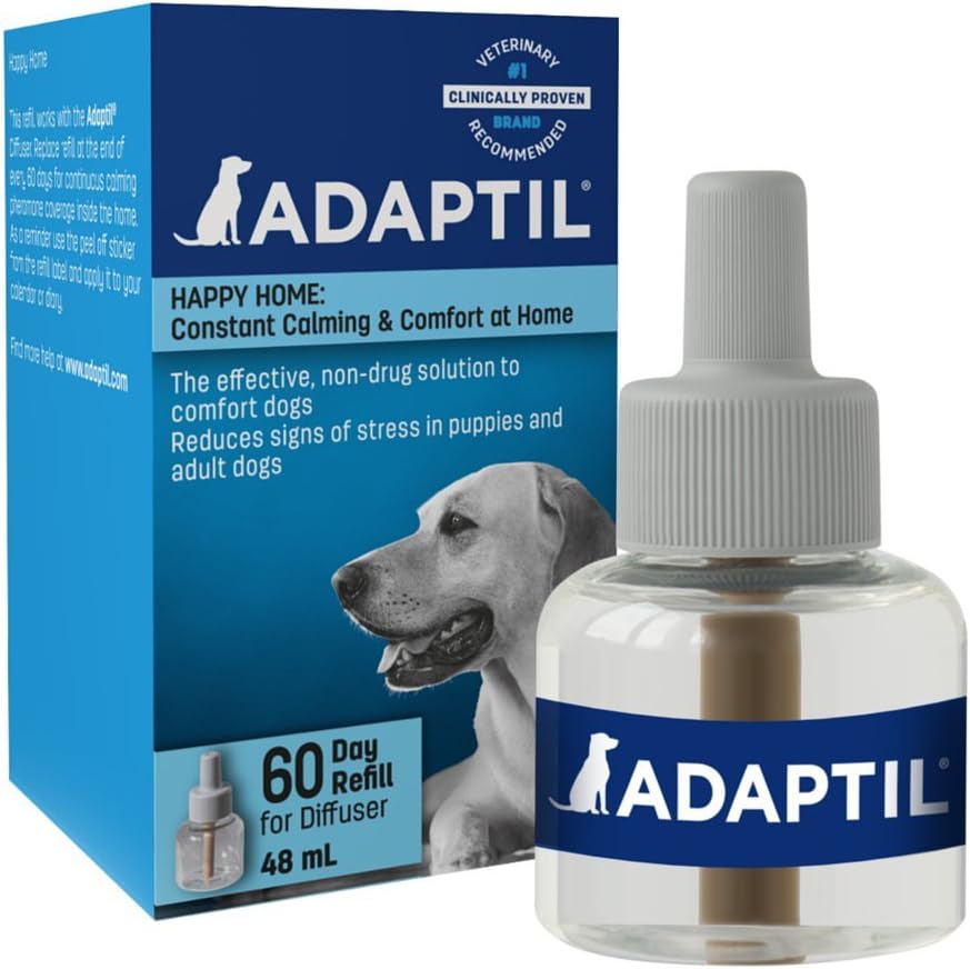 guinea pig cage furniture