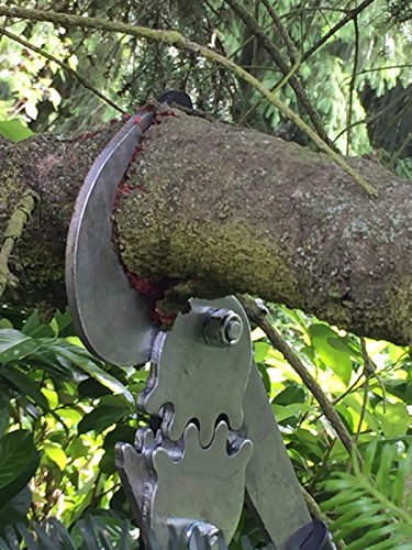 GRÜNTEK Getriebe-Astschere T-REX 765 mm, scharfe Bypass Baumschere, 2-fach höhere Kraftübertragung dank Doppel-GEAR… – Bild 6