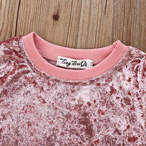 2Pcs Baby Girls Boys Velvet Long Sleeve Blouse Tops + Long Pants Outfits Set Coral Fleece Fall Winter Clothes (Pink, 110 (3-4T))