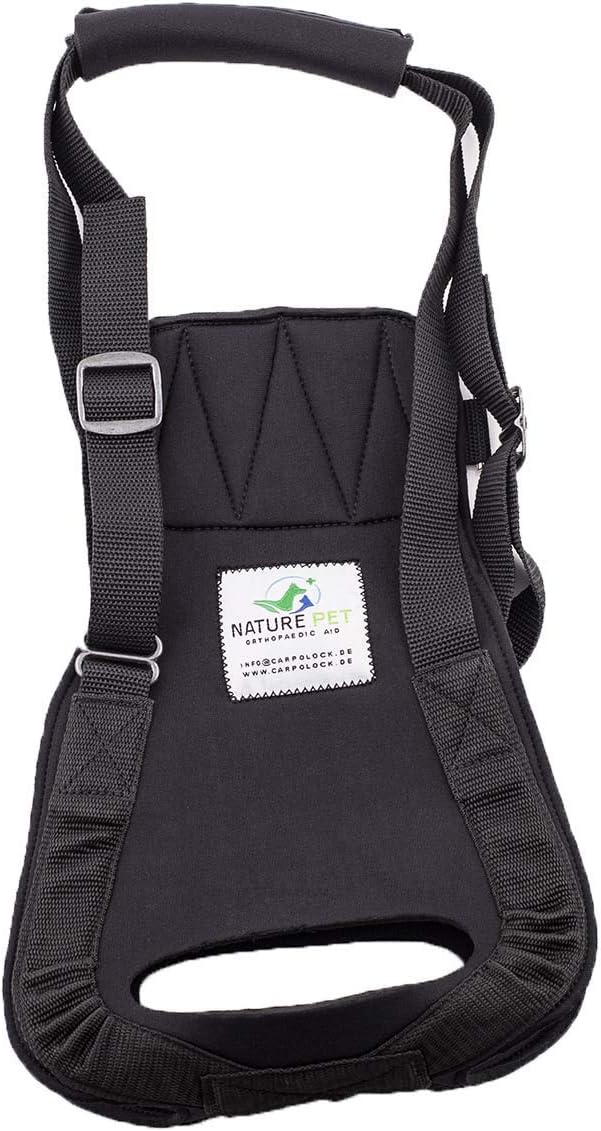Dog carrying aid M black / dog walking aid / dog rehabilitation aid, the aid harness for problems on the spine, hips and knees of your dog.