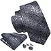 Barry.Wang Black and Grey Tie Set Silk Neckties Formal