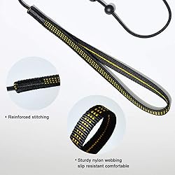 BeauGo Slip Leads for Dogs,Thin Slip Lead,Dog