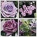 AmyHomie Artificial Flowers, European Artificial Roses, Silk Rose for Decorating, Silk Flower for Wedding, a Bunch/Pack (Purple)