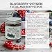 Biofinest Blueberry Oxygen Facial Scrub - with Aloe Vera, Amino Acids, Vitamin C, Essential Oils - Best Antioxidants For Anti-Aging (250g)