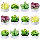 Swpeet 12Pcs Decorative Succulent Cactus Tealight Candles Kit, Cute Smokeless Succulent Plants Perfect for Candles Festival Wedding Props and House-Warming Party (N0.5-Candle)