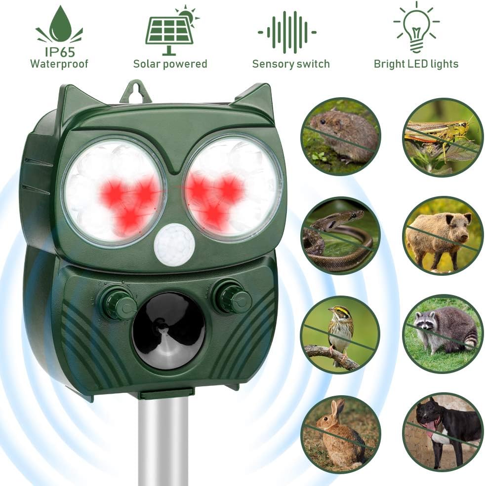 categorie/forniture per animali domestici/uccelli