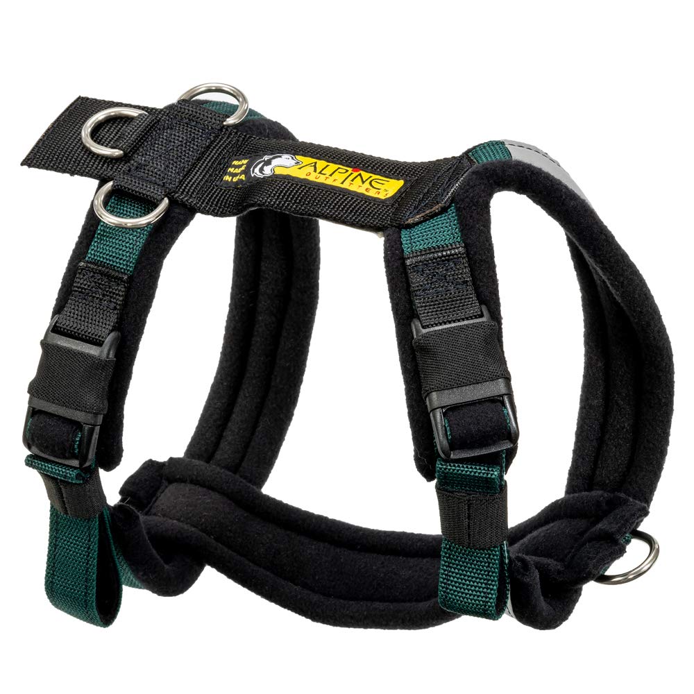 Adjustable Dog Harness, No-Pull D-Ring - Alpine Outfitters Urban Trail – Padded, Reflective, Multi-Use for Hiking, Running, and Everyday Wear - XLarge Teal