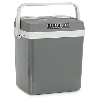 Della Nevera eléctrica portátil 12 V - Gris - Capacidad 32 L ...