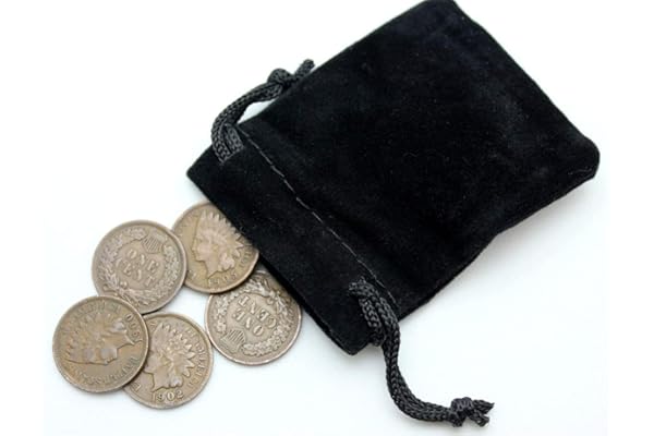 Vintage Indian Head Cents Collection Starter Kit U.S. Coins Old Pennies Estate Sale Liquidation United States Hoard All Over 100+ Years Old