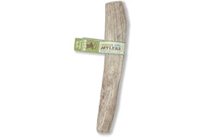PRAIRIE DOG PET PRODUCTS Prairie Dog Antlers | North American Split Antler | Large | Naturally Shed | Hand Harvested | Nutrient Rich | 6-7.5 inches long