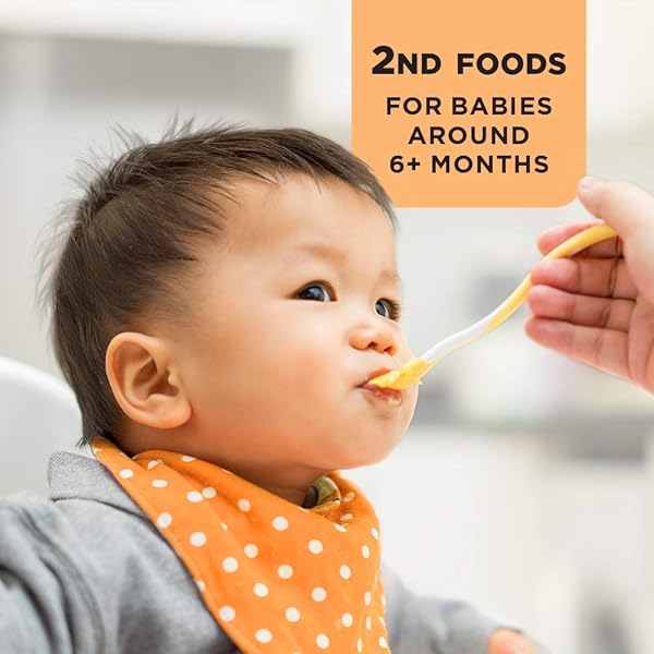 AMAZON BRAND – MAMA BEAR ORGANIC BABY FOOD APPLES, VEGETARIAN, 4 OUNCE (PACK OF 1) CUP