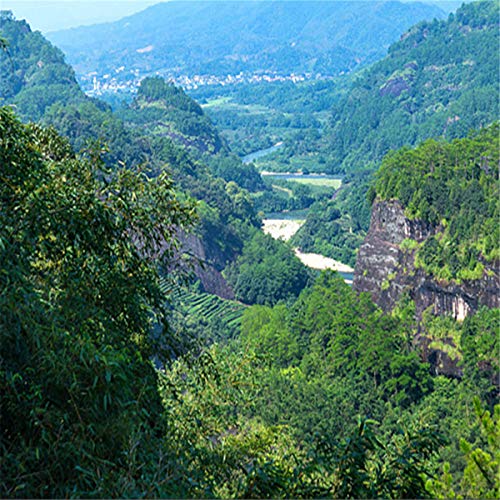 Tè verde cinese tè crudo tè cinese drago bustina di tè verde assistenza sanitaria nuovo tè salute tè primavera tè verde… - immagine 8
