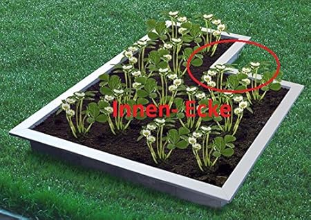 Reinkedesign Beet umrandungsecke Interior de acero inoxidable, 20 ...